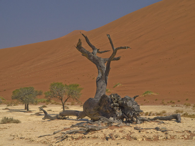 Sossusvlei